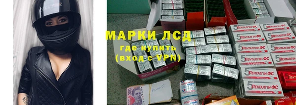 стаф Михайловск